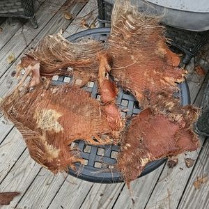 Palm Tree Fiber Pieces for Crafting and Decorating